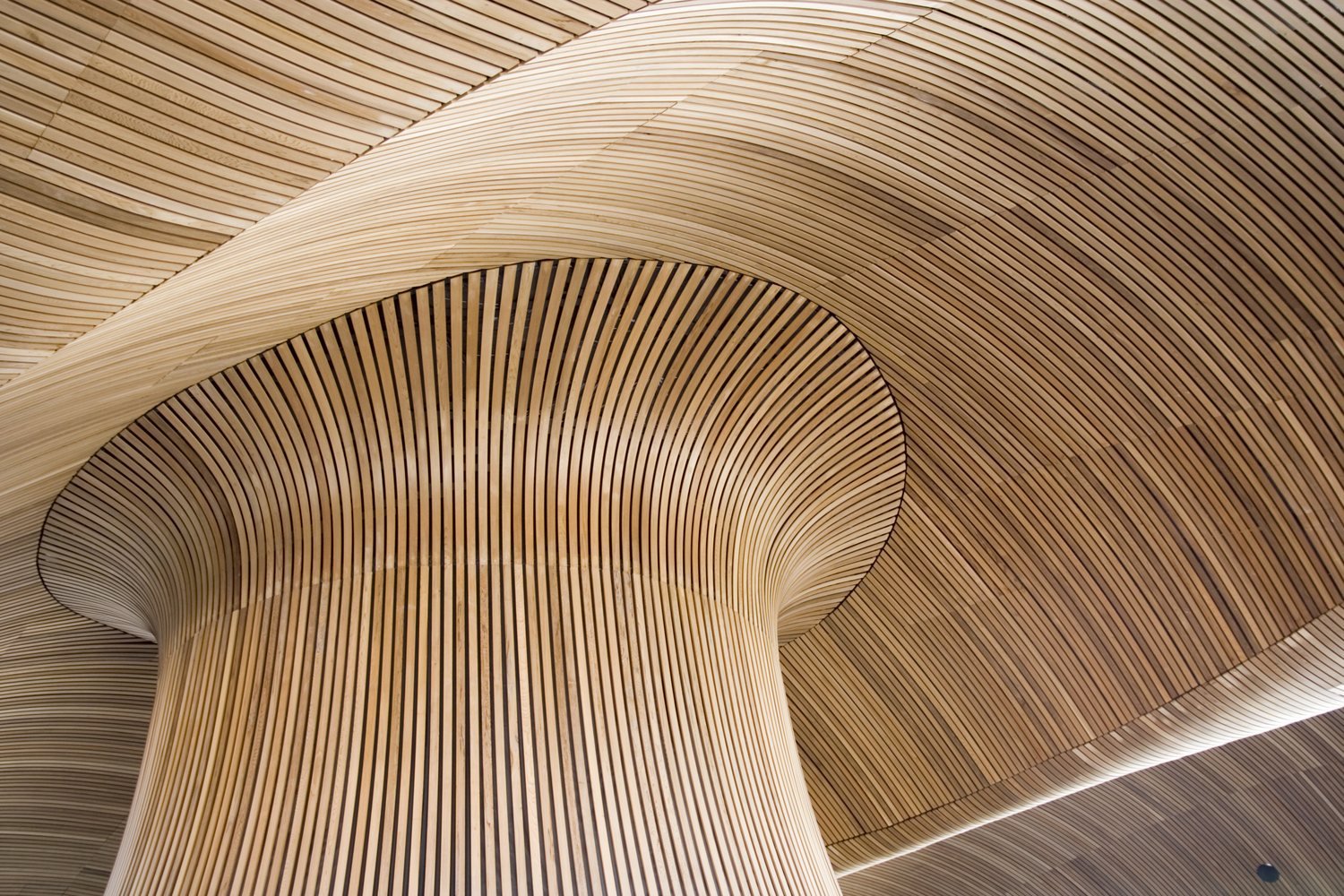 Architectural details of a modern building structure